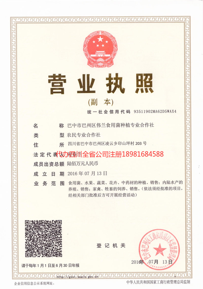 安康安康伟兰食用菌种植专业合作社